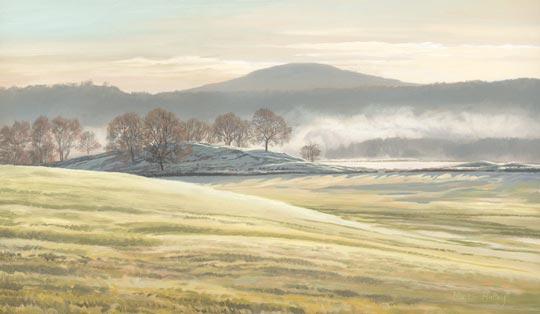 Turleum Hill near Crieff viewed from Westlodge Caravan Park, Comrie